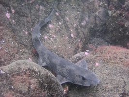 Abbs August '09 098.jpg